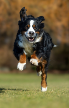 Projekt bez nazwy 2025 07 19T234946.659