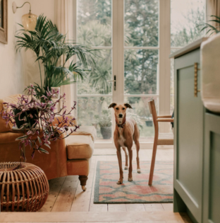 Projekt bez nazwy 2025 07 20T222218.603